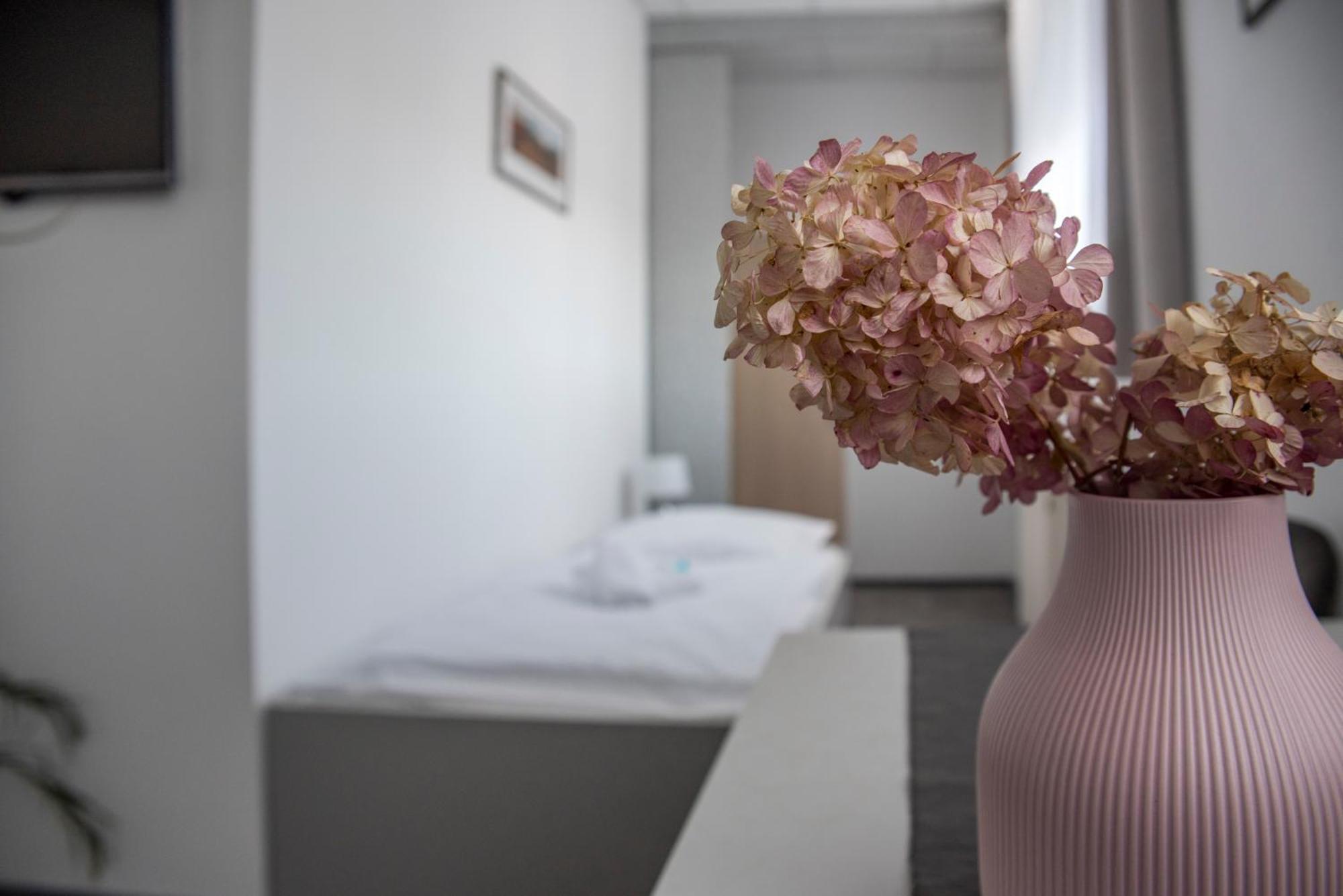 Classic Apartmany Trinec Dış mekan fotoğraf
